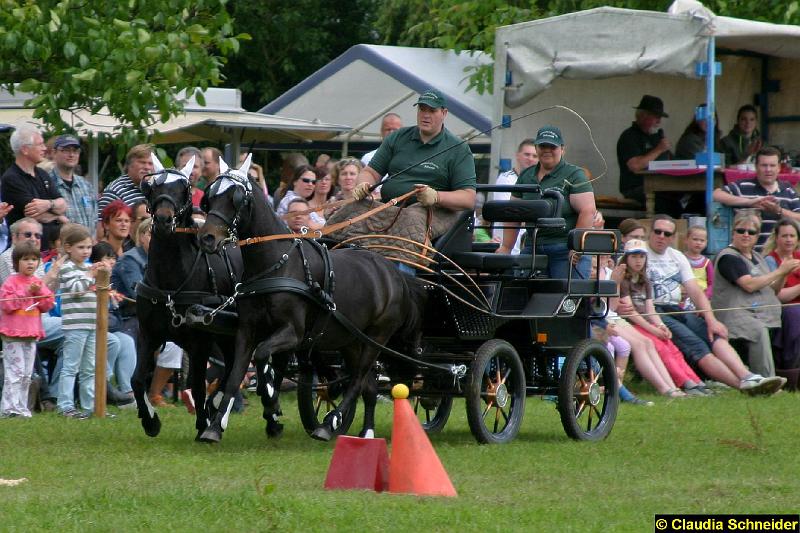 Ponytag Bosbach 2012-036.jpg